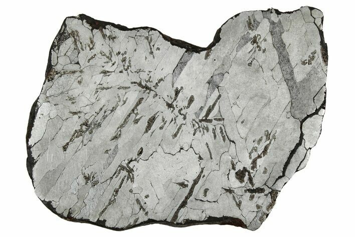 Etched Canyon Diablo Meteorite Slice ( g) - Arizona #356078
